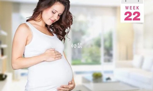 西红柿汤100种简单做法-西红柿汤怎么做好吃法大全图片,中国西红柿汤怎么做好吃法大全网站